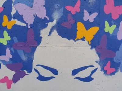 mariposas.jfif