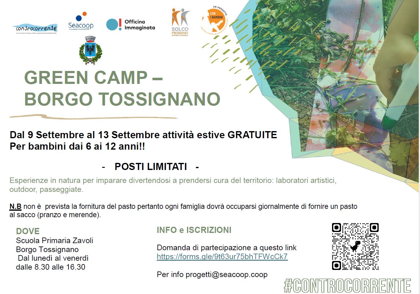 GREEN CAMP - BORGO TOSSIGNANO.JPG